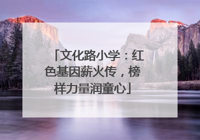 文化路小学：红色基因薪火传，榜样力量润童心