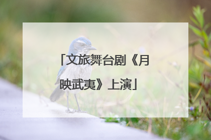 文旅舞台剧《月映武夷》上演
