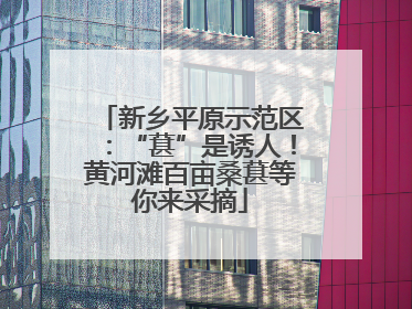 新乡平原示范区：“葚”是诱人！黄河滩百亩桑葚等你来采摘
