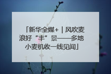 新华全媒+｜风吹麦浪好“丰”景——多地小麦机收一线见闻