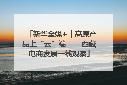 新华全媒+｜高原产品上“云”端——西藏电商发展一线观察