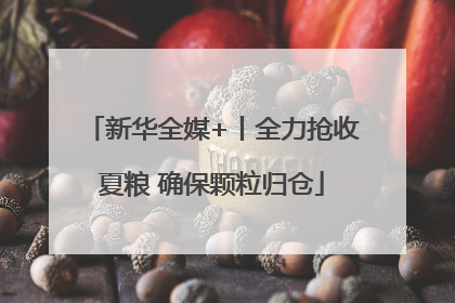 新华全媒+丨全力抢收夏粮 确保颗粒归仓