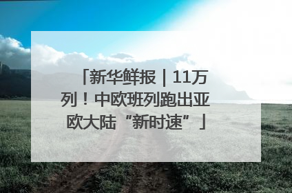 新华鲜报｜11万列！中欧班列跑出亚欧大陆“新时速”