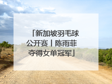 新加坡羽毛球公开赛丨陈雨菲夺得女单冠军