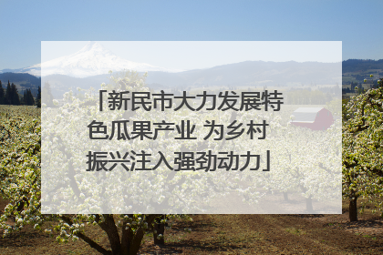 新民市大力发展特色瓜果产业 为乡村振兴注入强劲动力