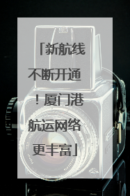 新航线不断开通！厦门港航运网络更丰富