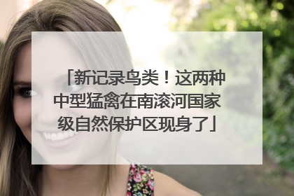 新记录鸟类！这两种中型猛禽在南滚河国家级自然保护区现身了