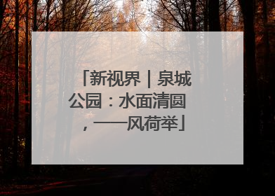 新视界｜泉城公园：水面清圆，一一风荷举