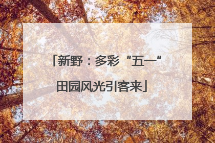 新野：多彩“五一” 田园风光引客来