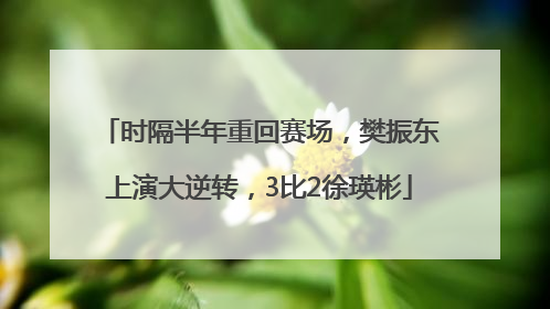 时隔半年重回赛场，樊振东上演大逆转，3比2徐瑛彬