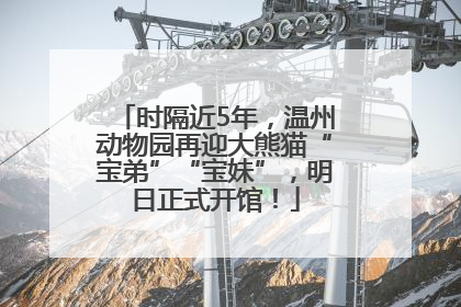 时隔近5年，温州动物园再迎大熊猫“宝弟”“宝妹”，明日正式开馆！