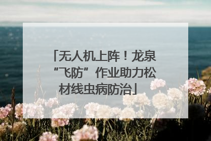无人机上阵！龙泉“飞防”作业助力松材线虫病防治