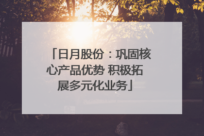 日月股份：巩固核心产品优势 积极拓展多元化业务