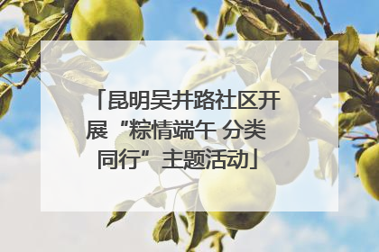昆明吴井路社区开展“粽情端午 分类同行”主题活动