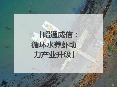 昭通威信：循环水养虾助力产业升级