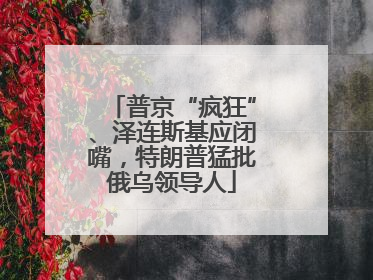 普京“疯狂”、泽连斯基应闭嘴，特朗普猛批俄乌领导人