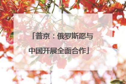 普京：俄罗斯愿与中国开展全面合作