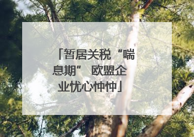 暂居关税“喘息期” 欧盟企业忧心忡忡