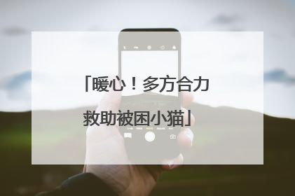 暖心！多方合力救助被困小猫