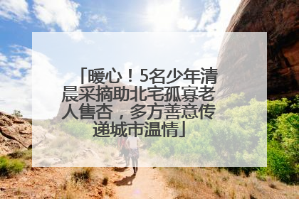 暖心！5名少年清晨采摘助北宅孤寡老人售杏，多方善意传递城市温情