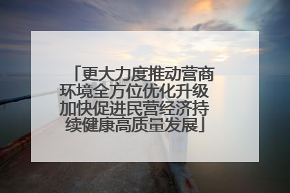 更大力度推动营商环境全方位优化升级加快促进民营经济持续健康高质量发展