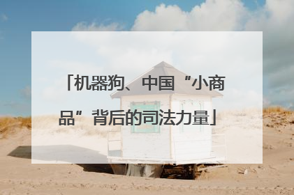 机器狗、中国“小商品”背后的司法力量