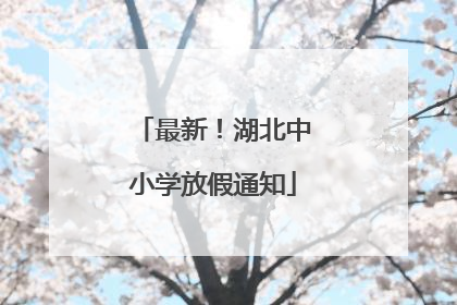 最新！湖北中小学放假通知