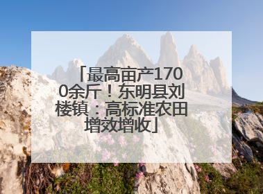 最高亩产1700余斤！东明县刘楼镇：高标准农田增效增收