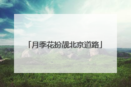 月季花扮靓北京道路