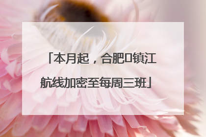 本月起，合肥⇋镇江航线加密至每周三班