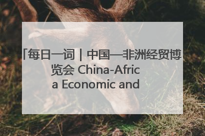 每日一词｜中国—非洲经贸博览会 China-Africa Economic and Trade Expo