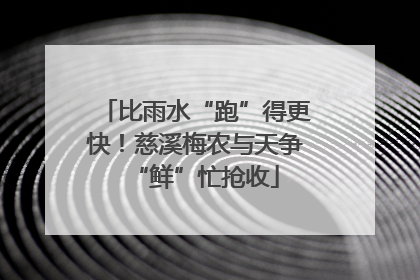 比雨水“跑”得更快！慈溪梅农与天争“鲜”忙抢收