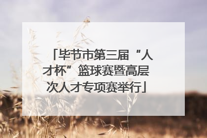 毕节市第三届“人才杯”篮球赛暨高层次人才专项赛举行