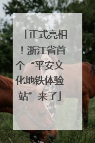 正式亮相！浙江省首个“平安文化地铁体验站”来了