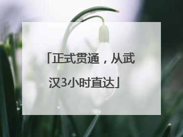 正式贯通，从武汉3小时直达