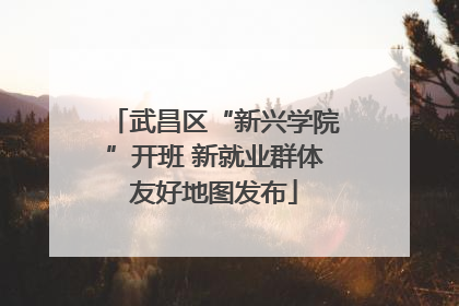武昌区“新兴学院”开班 新就业群体友好地图发布