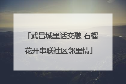 武昌城里话交融 石榴花开串联社区邻里情