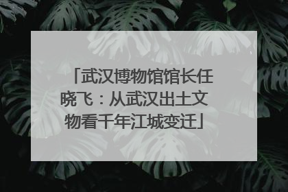 武汉博物馆馆长任晓飞：从武汉出土文物看千年江城变迁