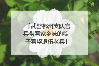 武警郴州支队官兵带着家乡味的粽子看望退伍老兵