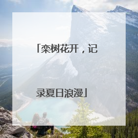 栾树花开，记录夏日浪漫