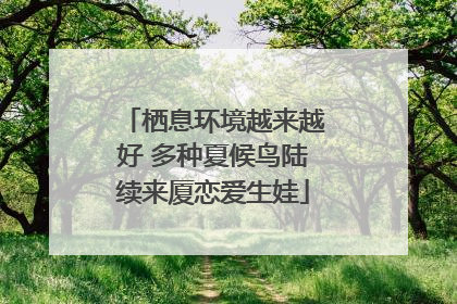 栖息环境越来越好 多种夏候鸟陆续来厦恋爱生娃