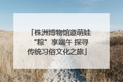 株洲博物馆邀萌娃“粽”享端午 探寻传统习俗文化之旅