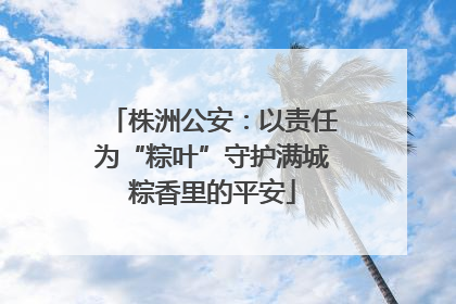 株洲公安：以责任为“粽叶”守护满城粽香里的平安