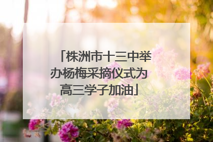 株洲市十三中举办杨梅采摘仪式为高三学子加油
