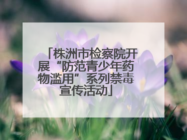 株洲市检察院开展“防范青少年药物滥用”系列禁毒宣传活动