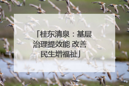 桂东清泉：基层治理提效能 改善民生增福祉