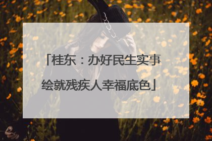桂东：办好民生实事 绘就残疾人幸福底色