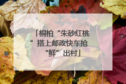 桐柏“朱砂红桃”搭上邮政快车抢“鲜”出村