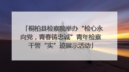 桐柏县检察院举办“检心永向党，青春铸忠诚”青年检察干警“实”迹展示活动