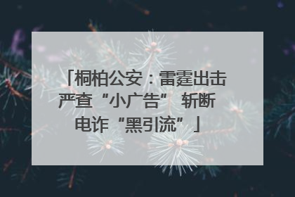 桐柏公安：雷霆出击严查“小广告” 斩断电诈“黑引流”